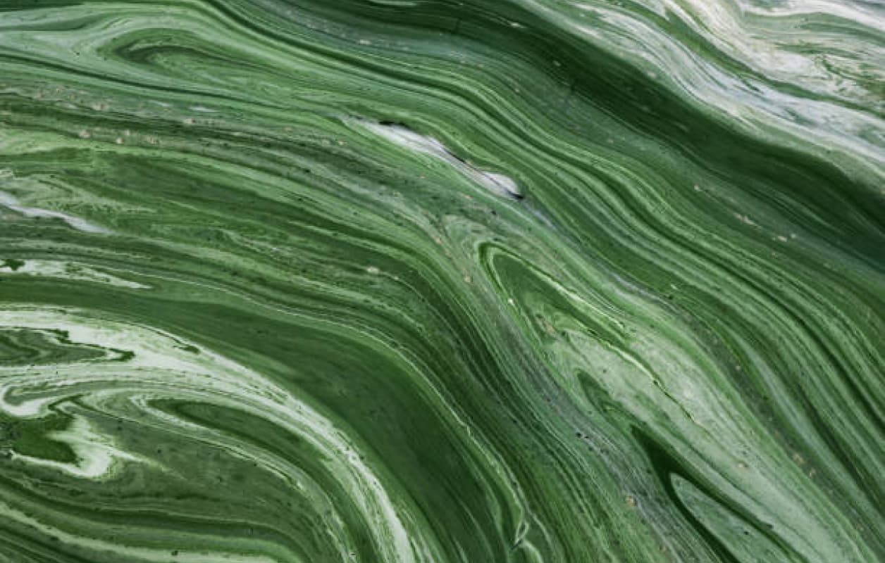 Green paint background